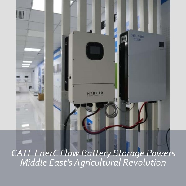 CATL EnerC Flow Battery Storage Powers Middle East's Agricultural Revolution