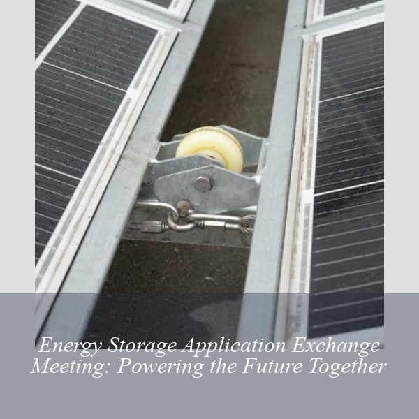 Energy Storage Application Exchange Meeting: Powering the Future Together